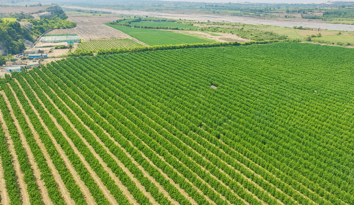 ChatGPT Image 2 oct 2025, 22_21_25