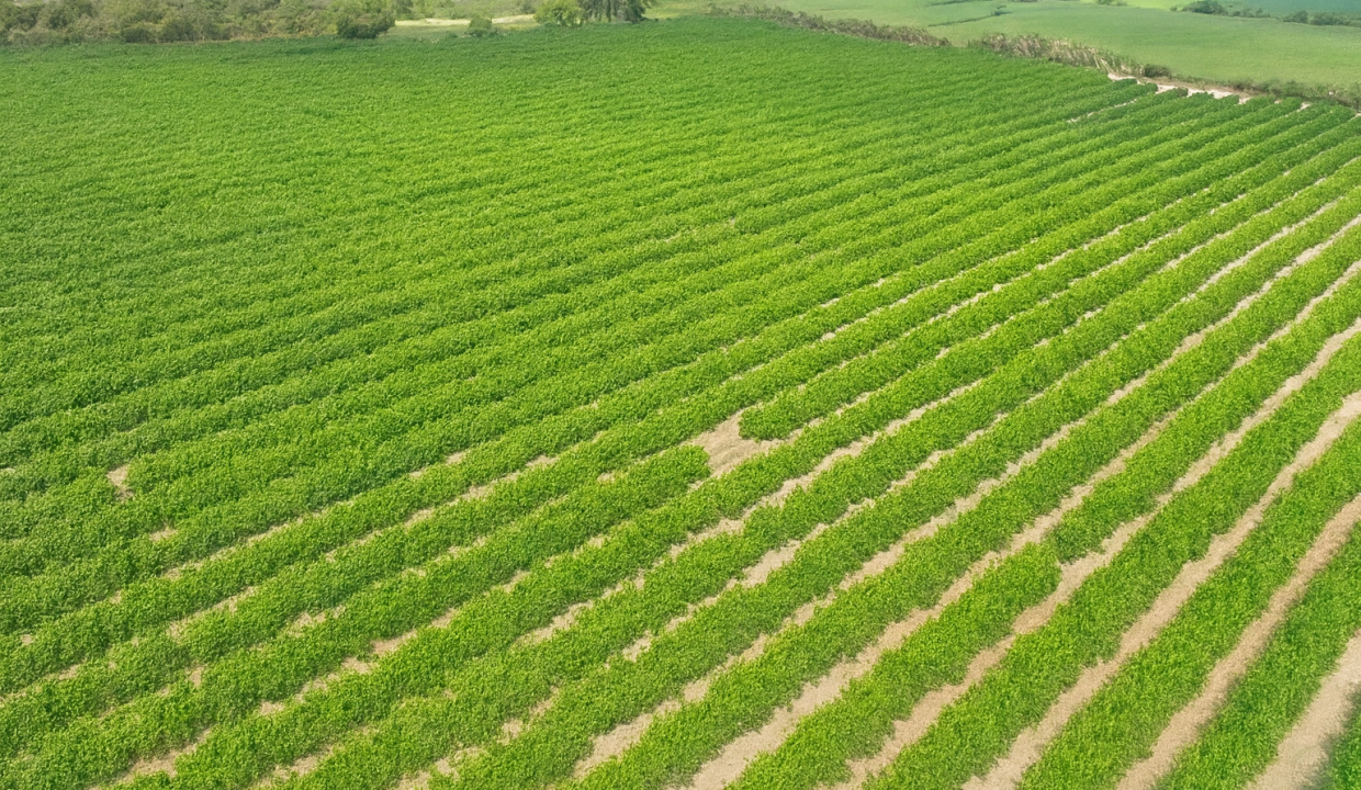 ChatGPT Image 2 oct 2025, 22_24_13