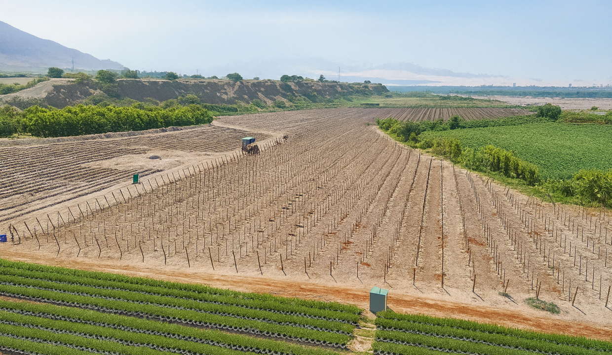 ChatGPT Image 2 oct 2025, 22_31_40