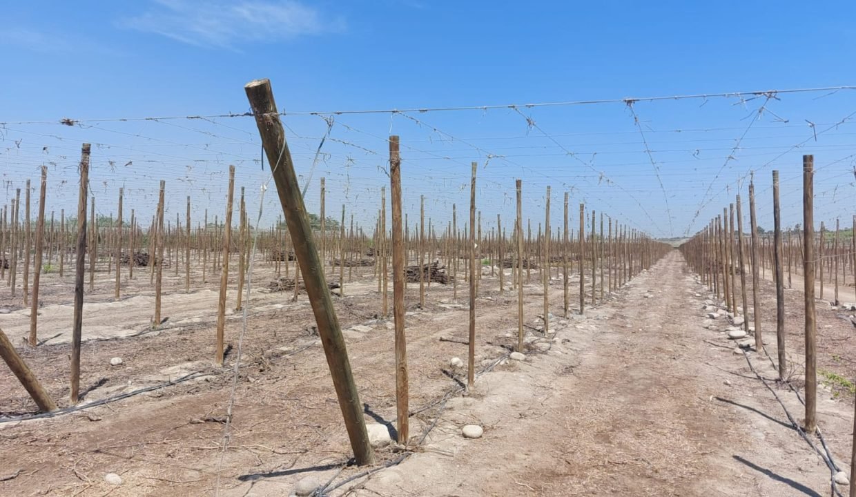 WhatsApp Image 2025-10-01 at 1.51.15 PM