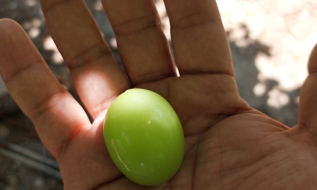 WhatsApp Image 2025-10-01 at 1.51.17 PM (1)