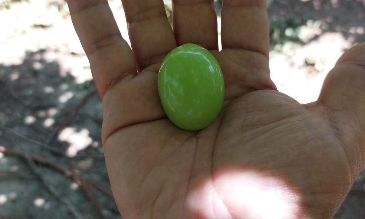 WhatsApp Image 2025-10-01 at 1.51.17 PM